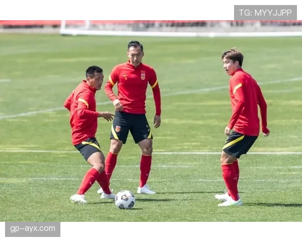 梅赫伦连胜势头强劲，强势表现引关注