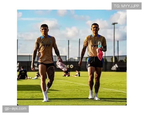 恩佐·费尔南德斯训练完顺手买了辆限量超跑，队友还在纠结午饭吃啥